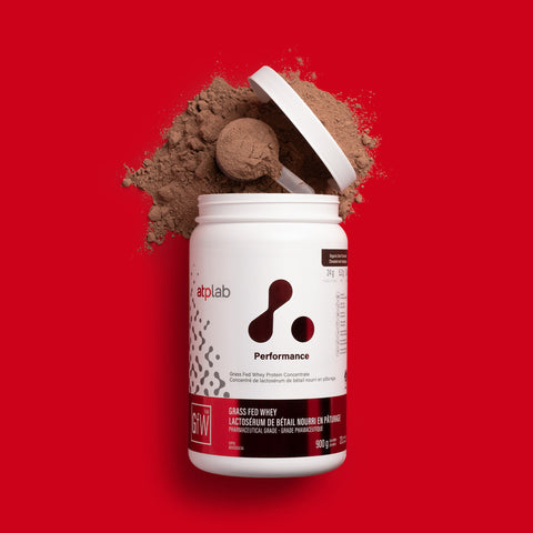 Chocolate Grass fed Whey protein container by ATP Lab with powder spilling out on a red background available at Healthsupp